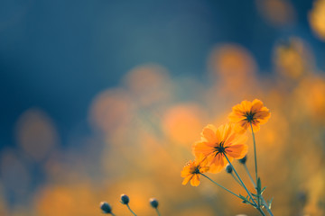 DNF突破绝望之塔任务怎么做 突破绝望之塔