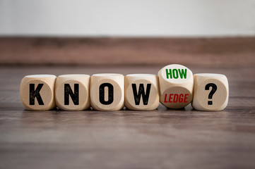 口袋侦探的游戏攻略