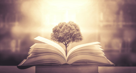 DNF突破绝望之塔任务怎么做 突破绝望之塔