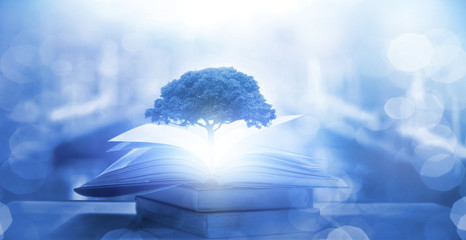 长春国际金融中心怎么样？