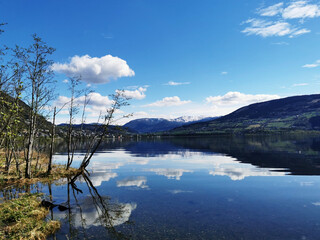 口袋侦探的游戏攻略