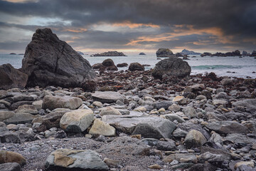 广州网上订汽车票怎么订