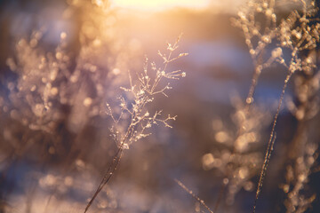 广州网上订汽车票怎么订