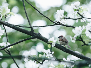 《新概念英语3》大概相当于什么水平？