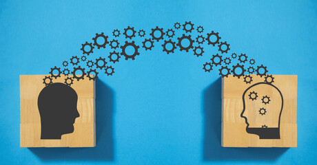 口袋侦探的游戏攻略