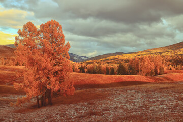 我的青春高八度吻戏在第几集