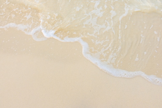 潍坊市公安局的主要领导