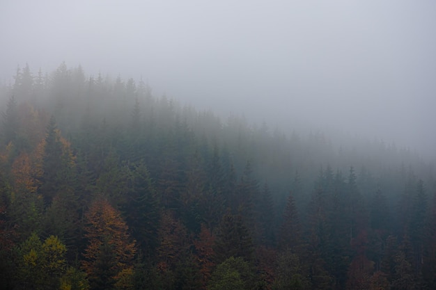 广州网上订汽车票怎么订