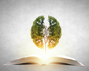 DNF突破绝望之塔任务怎么做 突破绝望之塔