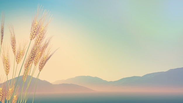 DNF突破绝望之塔任务怎么做 突破绝望之塔