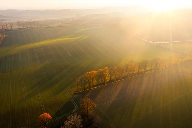 口袋侦探的游戏攻略