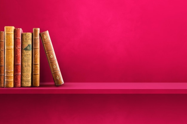 梦见一个妈妈领着她女儿的预兆